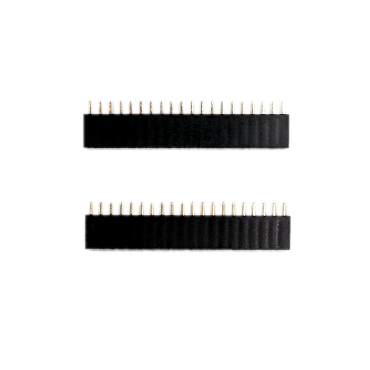Two 1x20 pin female headers